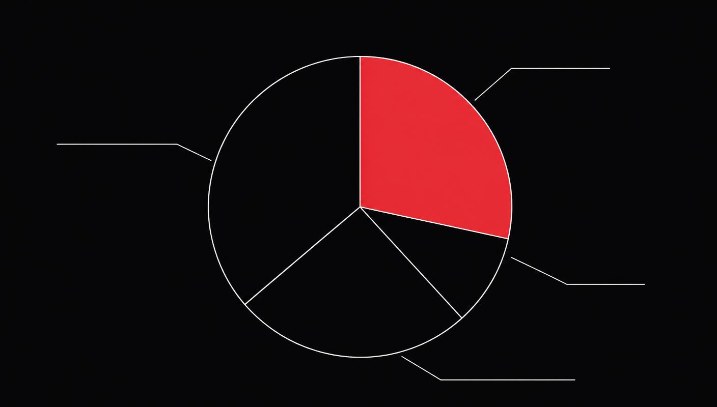 Income split diagram with one segment highlighted